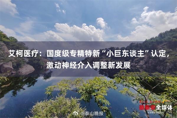 艾柯医疗:国度级专精特新“小巨东谈主”认定,激动神经介入调整新发展