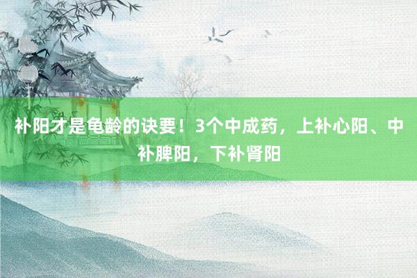 补阳才是龟龄的诀要!3个中成药,上补心阳、中补脾阳,下补肾阳