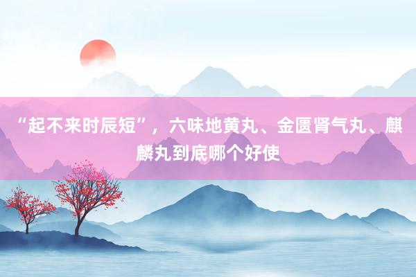 “起不来时辰短”，六味地黄丸、金匮肾气丸、麒麟丸到底哪个好使