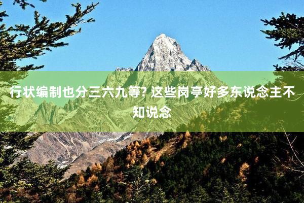 行状编制也分三六九等? 这些岗亭好多东说念主不知说念