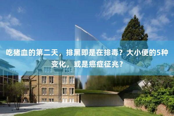 吃猪血的第二天，排黑即是在排毒？大小便的5种变化，或是癌症征兆？