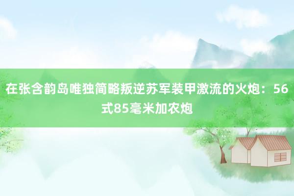 在张含韵岛唯独简略叛逆苏军装甲激流的火炮：56式85毫米加农炮